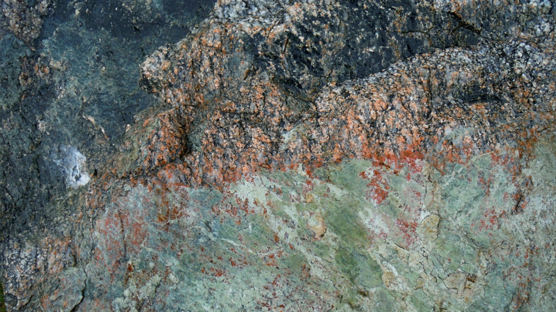 Close up photograph of metamorphic rock