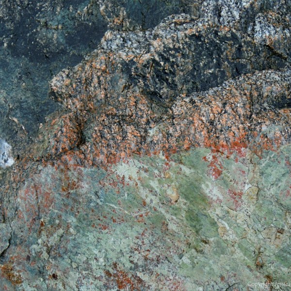 Close up photograph of metamorphic rock