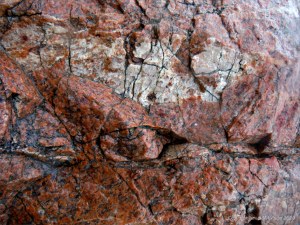 Close up photograph of metamorphic rock