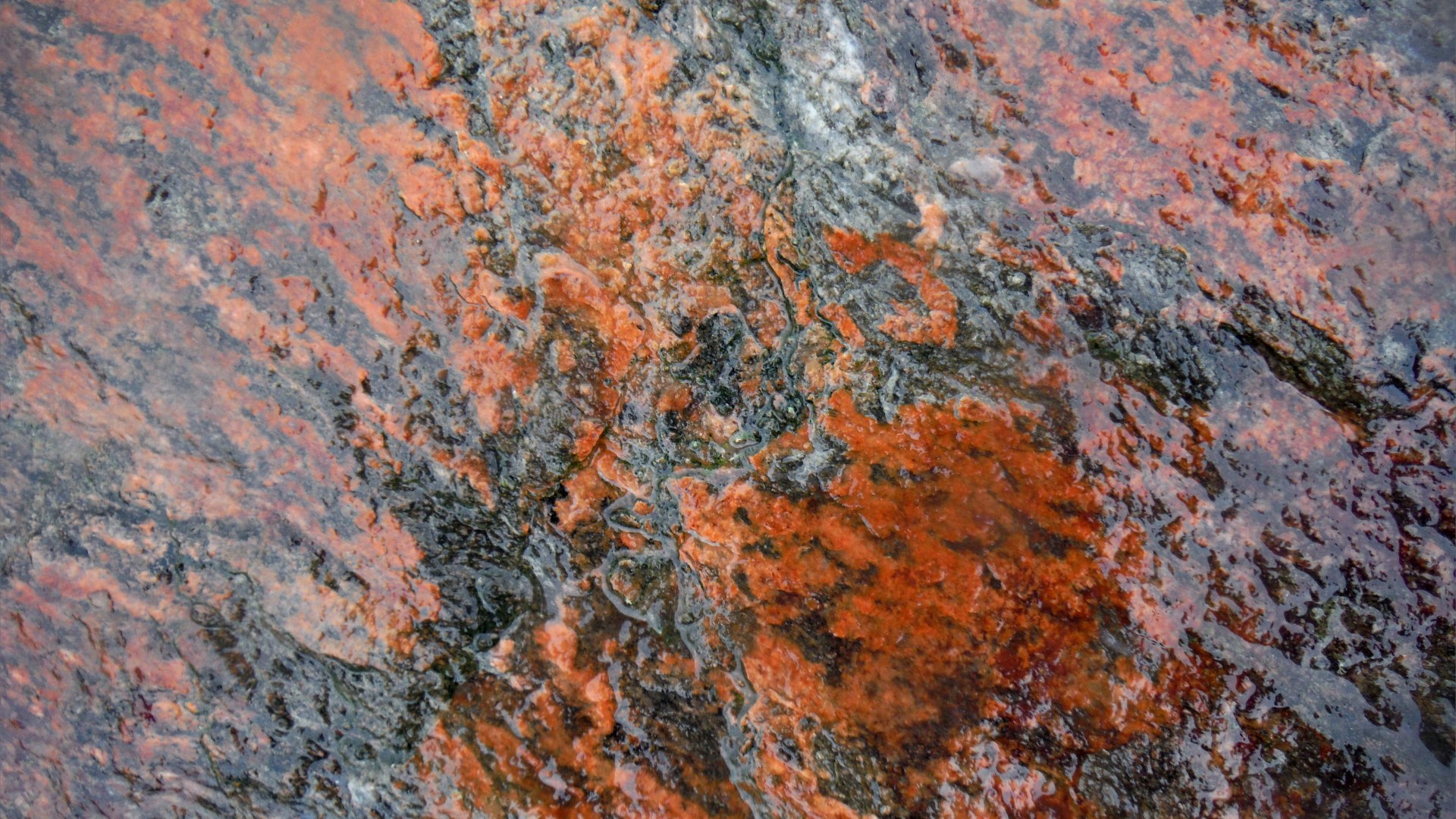 Close up photograph of metamorphic rock