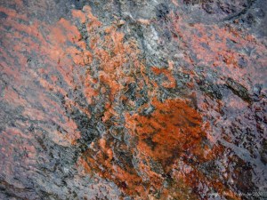 Close up photograph of metamorphic rock