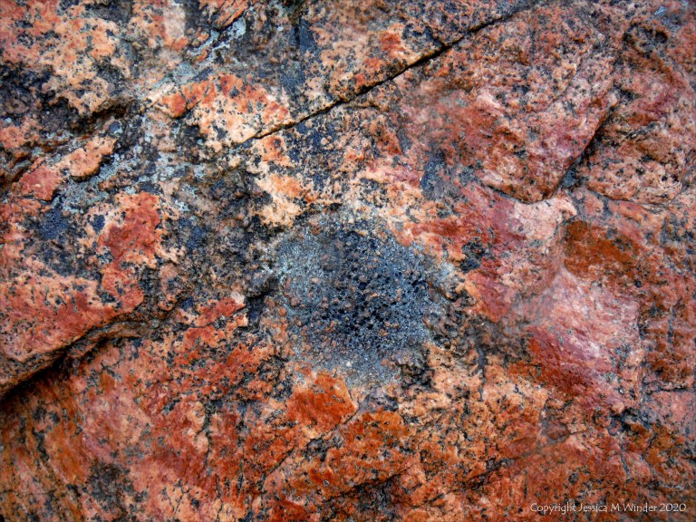 Close up photograph of metamorphic rock