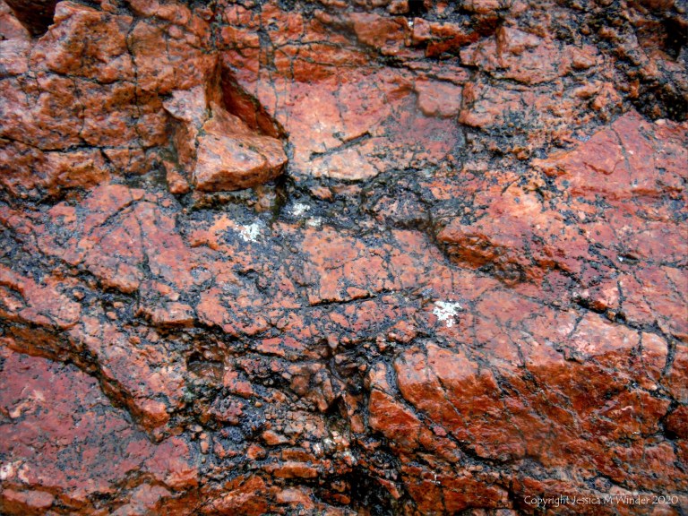Close up photograph of metamorphic rock