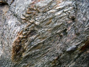 Close up photograph of metamorphic rock