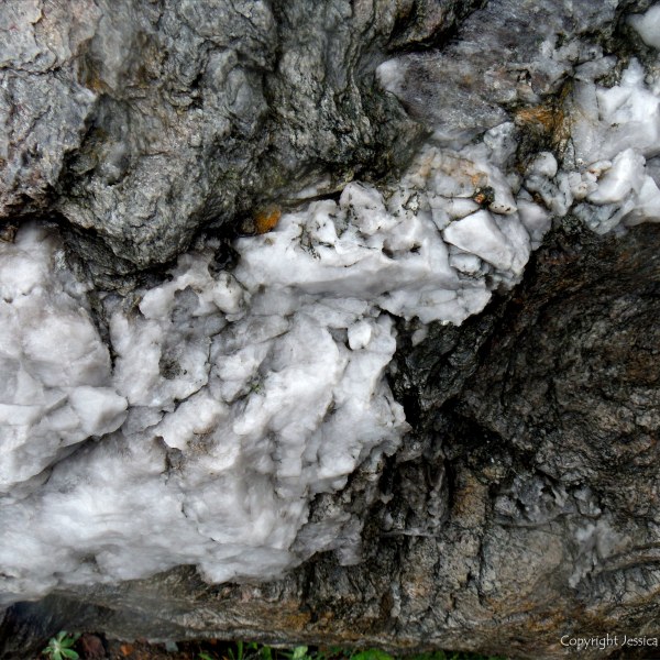 Close up photograph of metamorphic rock