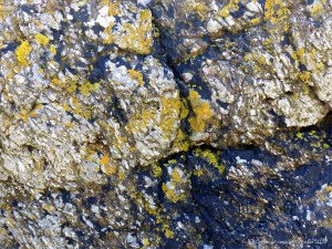 Rock texture and pattern at Moulin Huet Bay