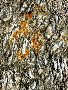 Rock texture and pattern at Moulin Huet Bay