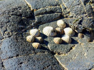Rock texture and pattern at Moulin Huet Bay