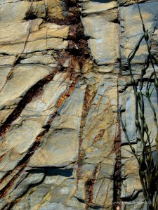 Rock texture and pattern at Garretstown in County Cork
