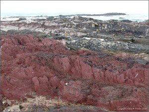 Red rocks on the seashore