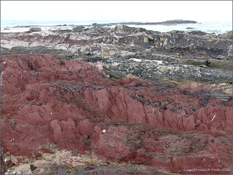 Red rocks on the seashore