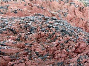 Red rocks on the seashore with small patches of black lichen
