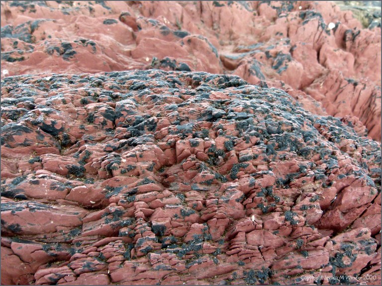 Red rocks on the seashore with small patches of black lichen