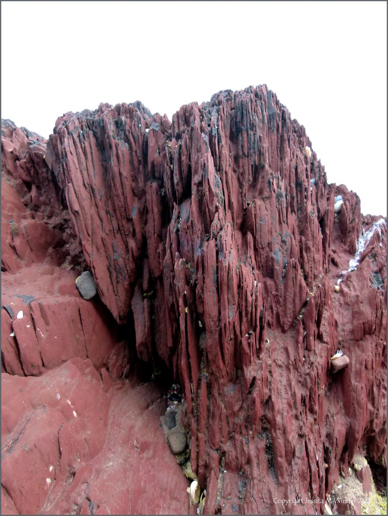 Red rocks on the seashore