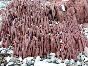 Red rocks on the seashore