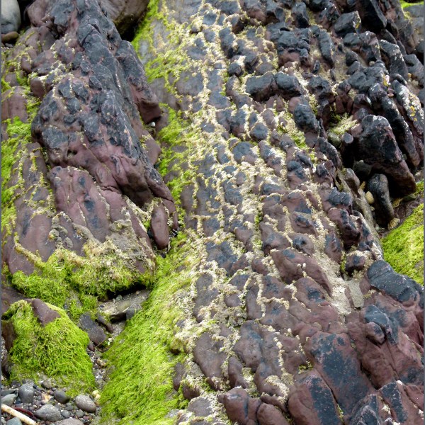 Rock textures and colours on the seashore