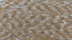 Patterns of reflected light on the surface of rippled water