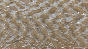 Patterns of reflected light on the surface of rippled water