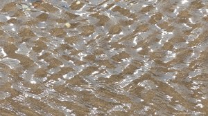 Patterns of reflected light on the surface of rippled water
