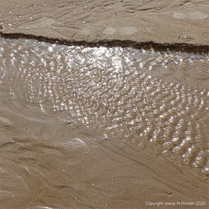 Patterns of reflected light on the surface of rippled water