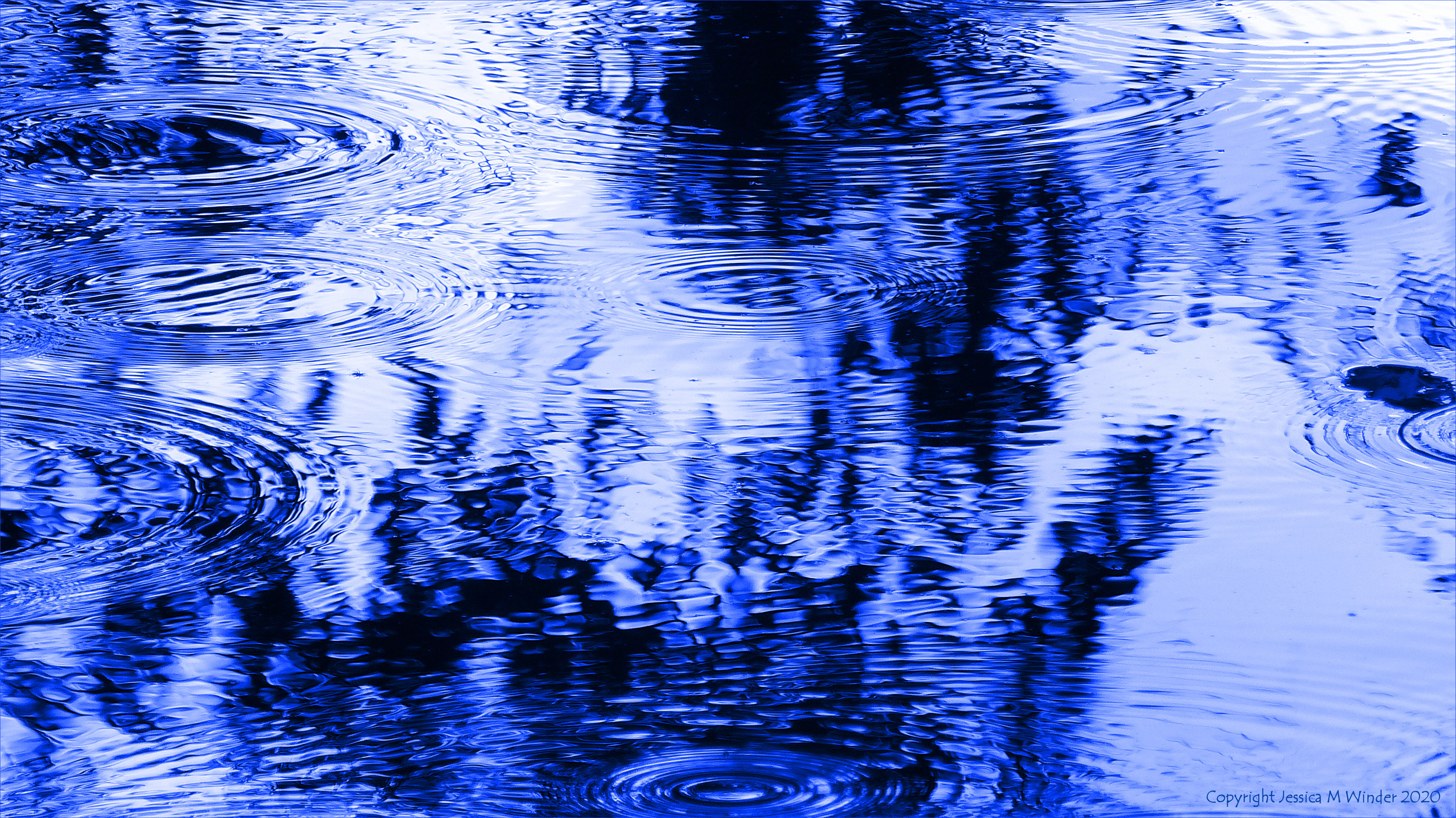 Concentric ripple patterns on water