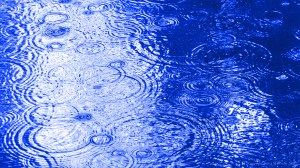 Concentric ripple patterns on water