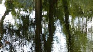 Natural abstract reflections on a canal