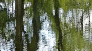 Natural abstract reflections on a canal