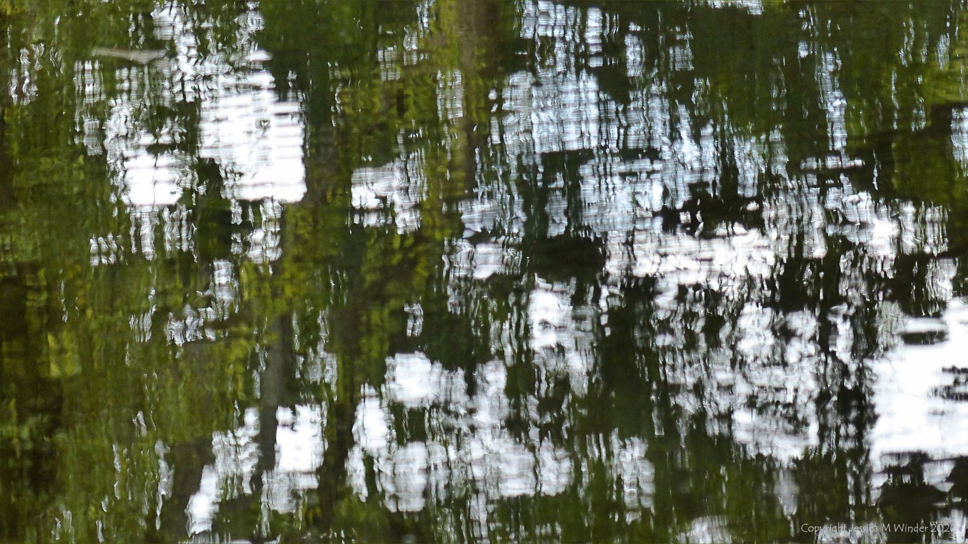 Natural abstract patterns in reflections on water