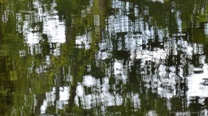 Natural abstract patterns in reflections on water