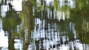 Natural abstract patterns in reflections on water