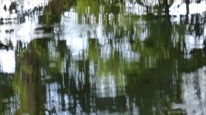 Natural abstract patterns in reflections on water