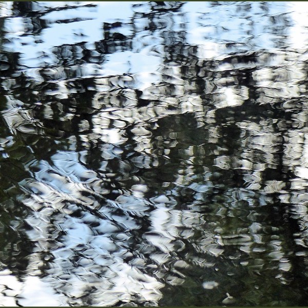 Natural abstract patterns in reflections on water