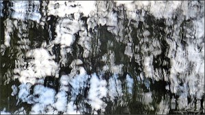 Natural abstract patterns in reflections on water