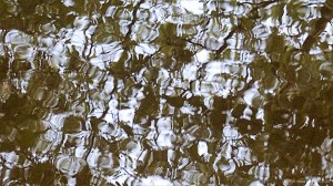 Natural abstract patterns in reflections on water