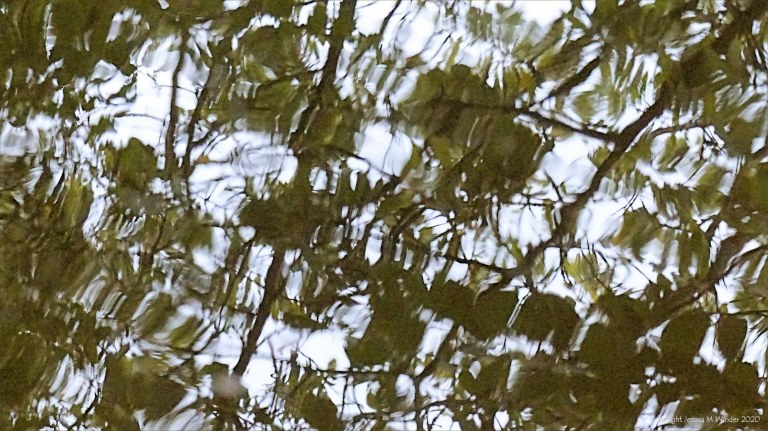 Natural abstract patterns in reflections on water