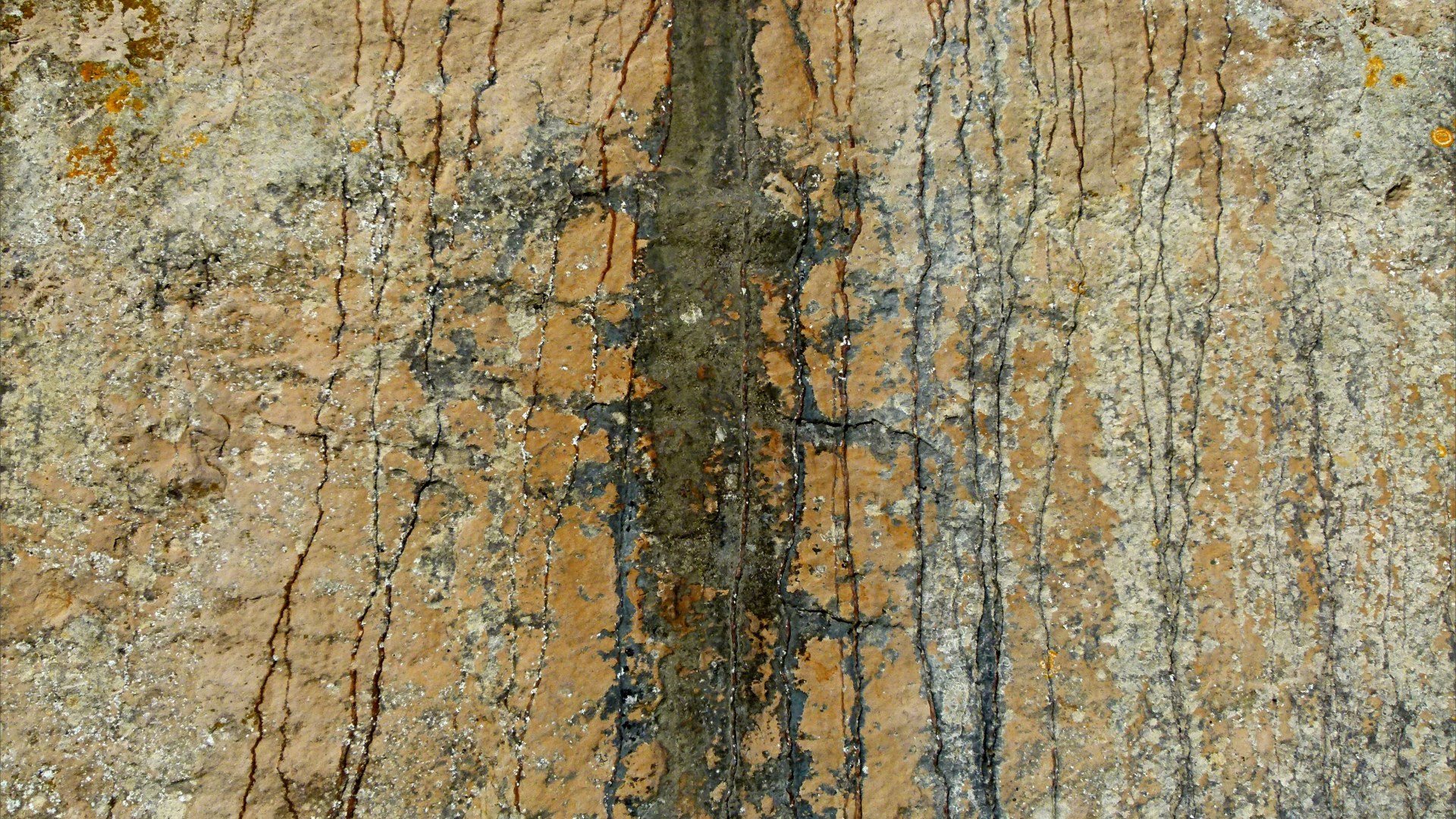 Iron-stained patterns on limestone rocks