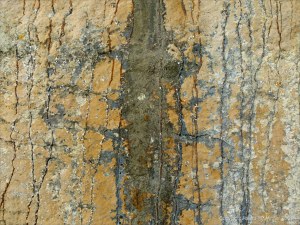 Iron-stained patterns on limestone rocks