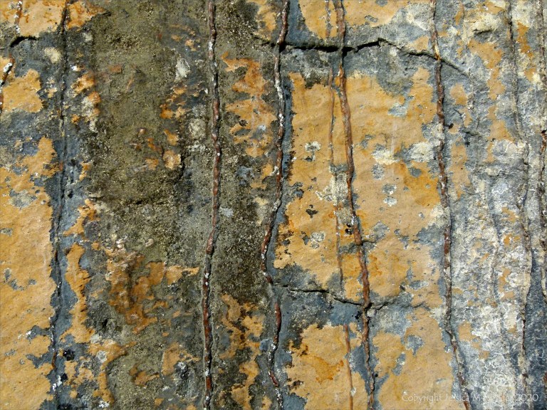 Iron-stained patterns on limestone rocks