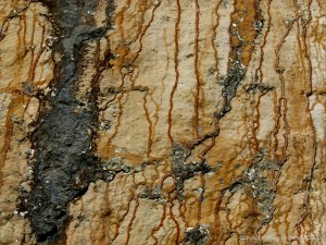 Iron-stained patterns on limestone rocks