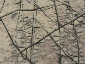Natural abstract patterns in rocks