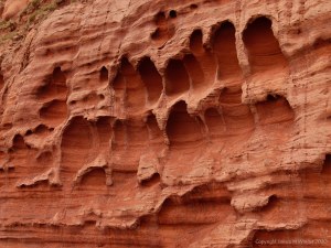 Honeycomb weathering pattern and texture in red rocks