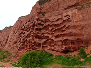 Honeycomb weathering pattern and texture in red rocks