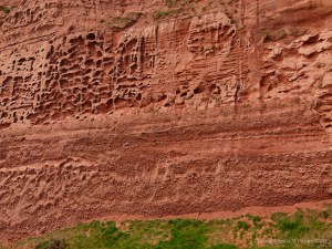 Honeycomb weathering pattern and texture in red rocks