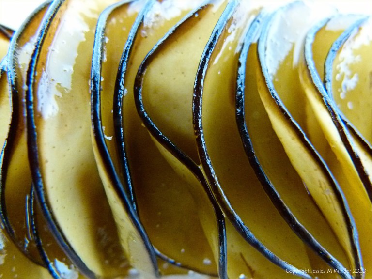 Natural texture and pattern in seaweed