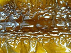 Natural pattern and texture in Sugar Kelp