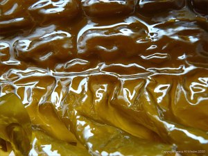 Natural pattern and texture in Sugar Kelp