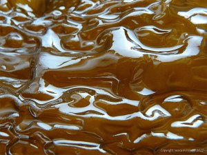 Natural pattern and texture in Sugar Kelp