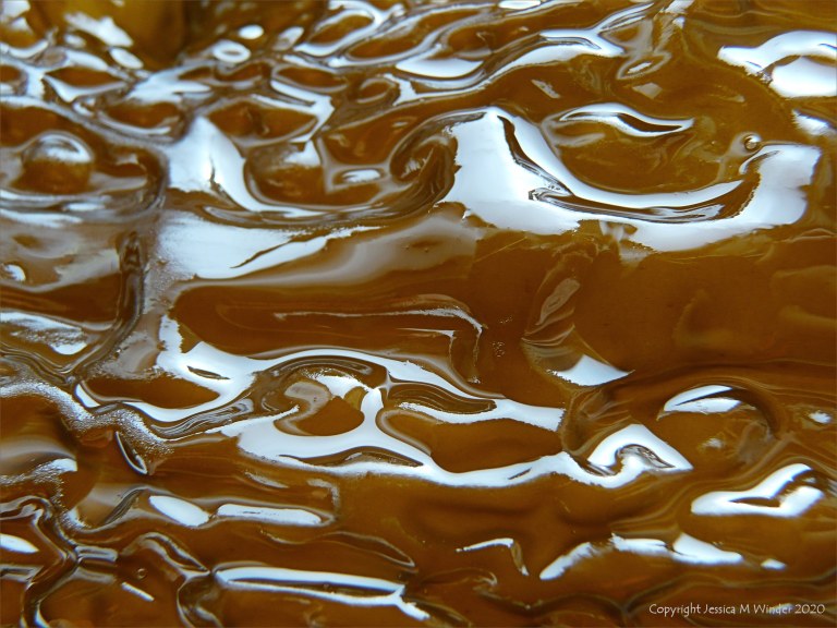 Natural pattern and texture in Sugar Kelp