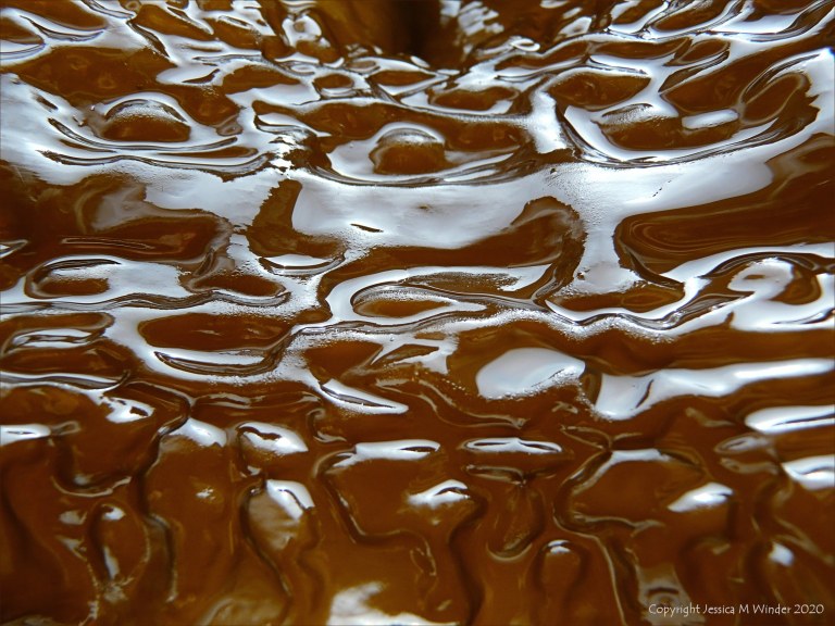 Natural pattern and texture in Sugar Kelp
